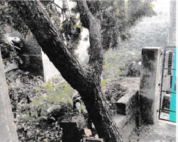 V P SINGH CONTRACTOR-1504251